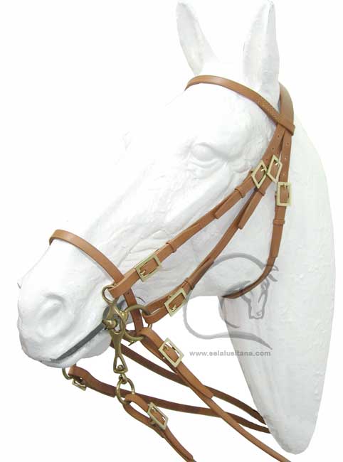 Cabeada Simples Fivela de Chapa Lisa/ Classical Portuguese Bridle / Bridon Portugaise Classic