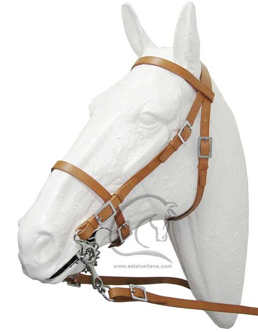 Cabeada Simples Fivela de Chapa Lisa/ Classical Portuguese Bridle / Bridon Portugaise Classic